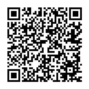 华锦城的几个手下把丁长生打死的鸵鸟拉到了旁边的树底下开始剥皮了二维码生成