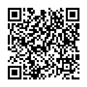 单单是传承的力量和知识就够它们无数年消化的了二维码生成