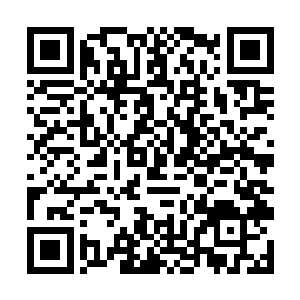 单单是啸月狼皇和金背鹏皇就已经令他们够头疼的了二维码生成