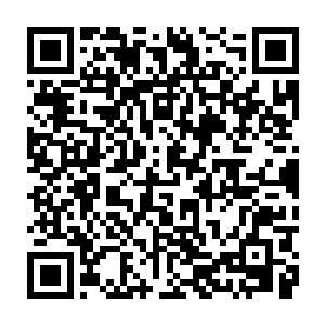 单是上次帝都大战的时候龙家所展现出来的实力就已经让他们背后的公会胆寒了二维码生成
