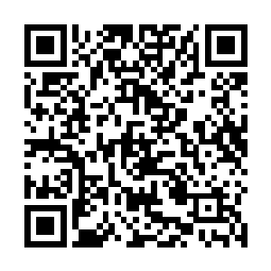 单是从那魔焰中翻滚出来的力量意境就让他们心里难受二维码生成