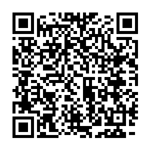 单纯凭借自身的飞行就已经足够追的上一般的化神期后期修真者了二维码生成