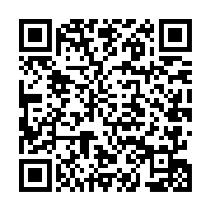 单馆两万美元的数据十分保守――而且仅仅只有一家媒体二维码生成