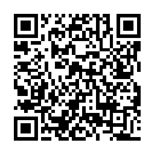 南华区域内的各大小势力不是臣服于雷行一族的yin威之下二维码生成