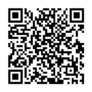 南宫晴雪便是十分乐意的带着叶莫再次回到了荒芜塔二维码生成