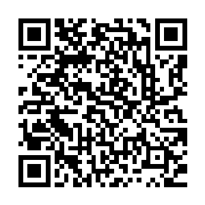 南宫流云却仿佛这些成千上万前仆后继的大青狼群是布景和摆设二维码生成