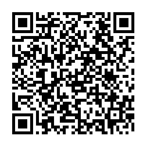 南方某个特区市委书记作为中央候补委员在中央党校的一篇论文也遭到了围攻二维码生成