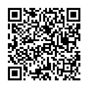 南海岸的学院模式比之暗极域的学派模式更加的公正与公开二维码生成