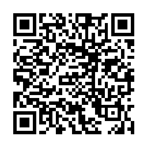 南荒许家的队伍让一个刚刚到达这里的外人来带领二维码生成