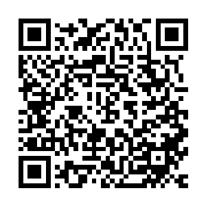 南诏又一贯与大楚交好…大楚给予南诏王室一些支持也不为过二维码生成