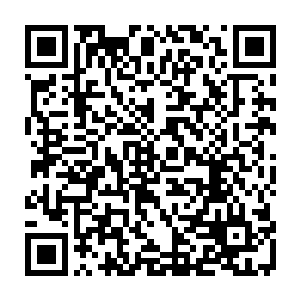 南部新区公共交易平台已经将四大班子办公室建设项目的信息在媒体上披露出去二维码生成