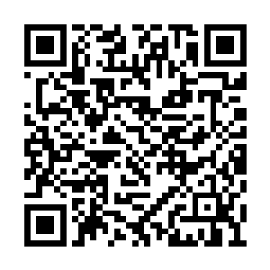 南阳商行雇佣了大量的仆人侍女护卫和一名管家二维码生成