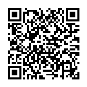 南面都是碗口粗细的木料绑起埋入地上形成的寨栅二维码生成