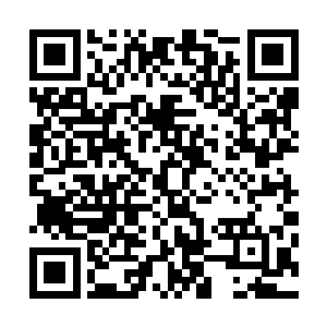 南黎幽这话这意思是说自己和东黎墨回去肯定是没有地位的二维码生成