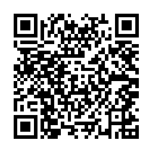 博迪爵士和克拉伦斯先生已经批准了这一采购清单二维码生成