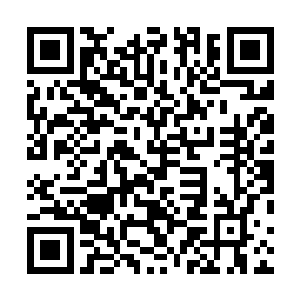 卞勇却拖着一支丧失了部分功能的残臂整日在家混吃等死二维码生成
