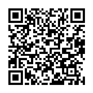 占了小屋三分之一大小的长桌上摆放着各种枪械和弓弩零件二维码生成