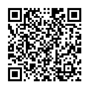 卡尔金自问自己用一只手就可以随随便便捏死这几个小崽子二维码生成