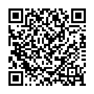 卡特收集了几段自由搏击表演和多部融合了柔道二维码生成