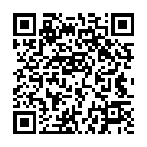 卢向东可以感觉得到怀里原本柔软的身体瞬间紧绷起来二维码生成