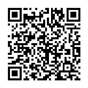 卫海川和左顺见夏云杰眼皮都不眨一下便划了那多收获出来二维码生成