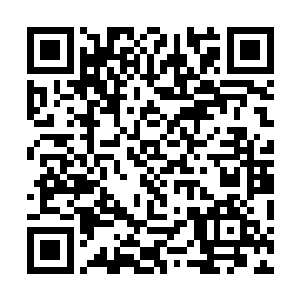 即使在满目血色中也极为惹眼的湿淋淋的血红触手~二维码生成