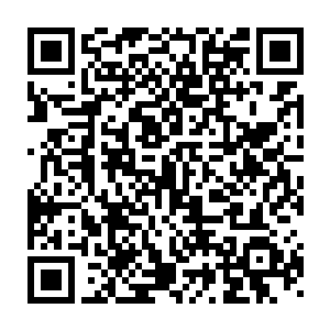 即使是两头刚刚从闷棍当中脱离出来的猎杀者也感觉到了强大的危险二维码生成