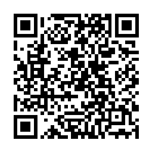 即使是信心满满的墨景黎和原本还有些担忧的雷振霆二维码生成