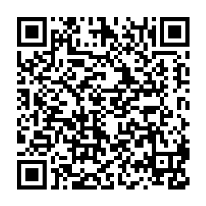 即使是同时进行演出的乐队也不由自主地融入荣耀至死的演出之中二维码生成