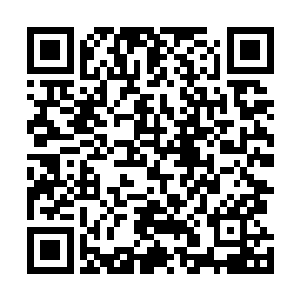 即使是最前面几排的嘉宾都被这种狂热的气氛带动了起来二维码生成