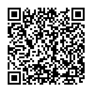即使这摆明了就是在挖他们墙角……他们也不能阻止自己人民的逃生之路吧二维码生成