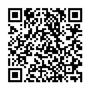 即便他现在的修为使用上品神晶实在是太浪费了一些二维码生成