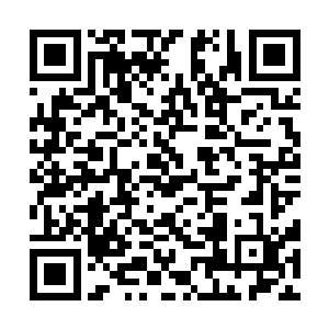 即便化神级数的绝世强者都不敢说自己掌控了1的秘密二维码生成
