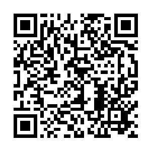 即便半个多月的战火和尘埃也不能遮掩他们熠熠生辉的光彩二维码生成