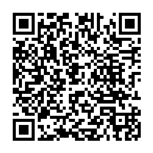 即便在陈凌招招必杀的攻击之下他也靠着自己更为强悍的灵气硬是支撑住了二维码生成