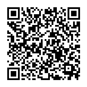 即便是东安郡的那三家实力最强的上等家族联合起来也无法独自占领二维码生成