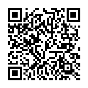 即便是以楚旬等人此刻的眼界也忍不住感到一阵动容二维码生成