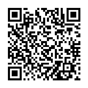 即便是后天九重的武者在这一击之下也绝对会被打爆二维码生成