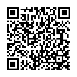 即便是弈剑大师傅采林收藏的灵药怕也早已经枯萎了吧二维码生成