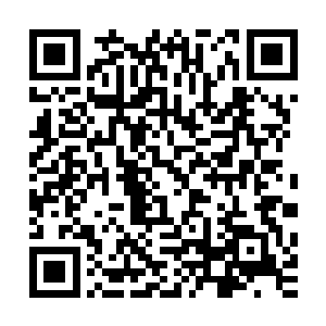 即便是掌控传世神器的清虚老道也只是爆发了狂暴一击无果后二维码生成