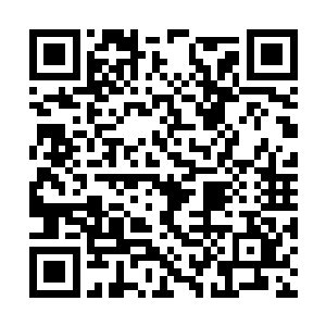 即便是这个菜鸟的运气看成无敌也没有多大的用处二维码生成