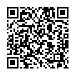 即便林烽透过水的感官已经将徐敏静里里外外看了个遍二维码生成