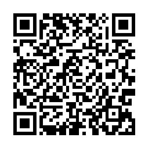 即安全又可以在生活上面有个照应――我知道你喜欢看书二维码生成