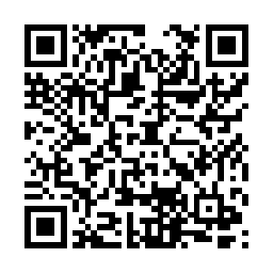 即将让你们每个人都品尝到我这条狗曾经过过的生活二维码生成