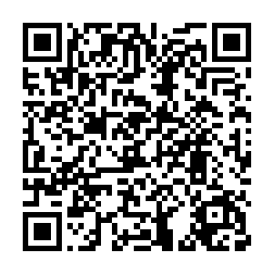 却不可避免的对老禁卫军把哈里发玩弄于股掌之间的光辉历史生出羡慕二维码生成