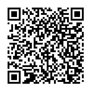 却不妨碍加尔各答社会各界把十二月二十日定为了未来孟加拉国的国庆节二维码生成