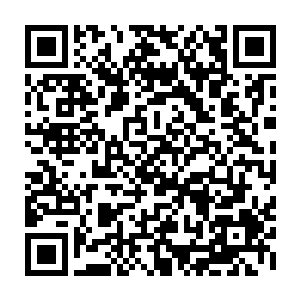 却不曾想现在变成了赤红色的狼王……这种变化几乎实在一瞬间就完成的二维码生成