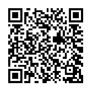 却不靠近灌木丛的动物们却是随着五人的跑趟而迅速集体转移二维码生成