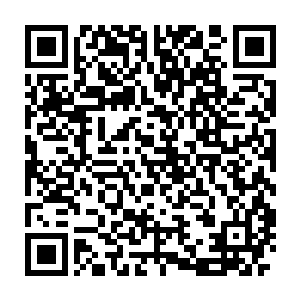 却也只能眼睁睁的看着这二十二个巨大的白雾漩涡在徐徐的旋转着二维码生成