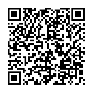 却也没有发现什么潜在强敌……飞舞在半空中的那一只金色小虫子二维码生成